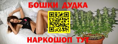 стафф Мариинск