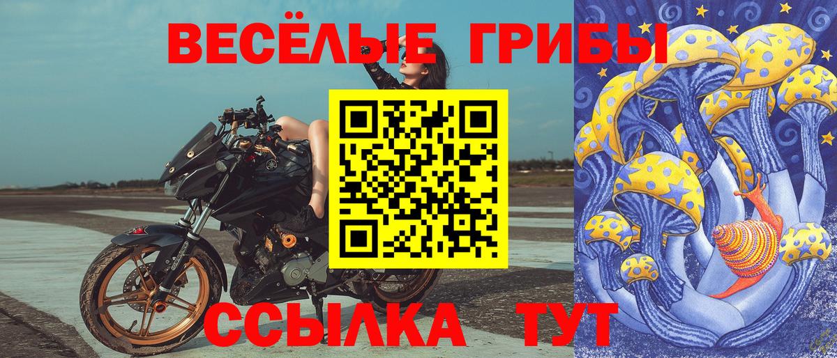 Вичуга  Галлюциногенные грибы GOLDEN TEACHER  Псилоцибиновые грибы Cubensis  Вход с VPN 