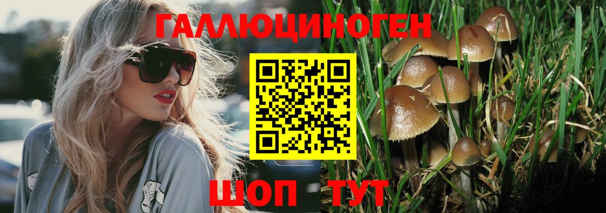 МЕТ  Марихуана  Меф кристаллы  Вход с VPN  APVP СК кристаллы  Вичуга  Cocaine  Гашиш 